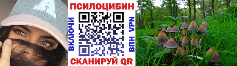 Псилоцибиновые грибы Psilocybe Алупка